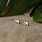 14 Ayar Altın Şans Fil Küpe 1,23 gr