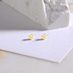 14 Ayar Altın Minik Küpe 0,50 gr