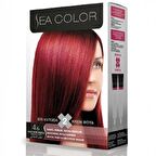 Sea Color Set Boya 4.6 Kestane Kızılı