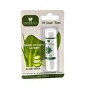 Estella Lip Balm Aloe Veralı