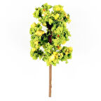 Hobbytime 5 Cm. Yassı Formlu Ihlamur Ağacı Modeli, 5 Adet