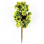 Hobbytime 7 Cm. Yassı Formlu Ihlamur Ağacı Modeli, 3 Adet