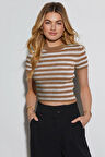 Kadın Çizgili Kısa Kol Bisiklet Yaka Camel Bluz