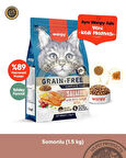 Wanpy Tahılsız Somonlu Yetişkin Kedi Maması 1-5 kg