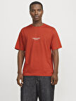 JORVESTERBRO TEE SS CREW NECK NOOS Summer