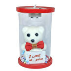 Cam Fanus Işıklı I Love You Ayıcık Kırmızı