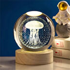 Deniz Anası Tasarımlı Ahşap Altlıklı Şık Dekoratif Küre
