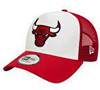 Chicago Bulls 60348855