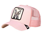 The French Bulld 101-1668