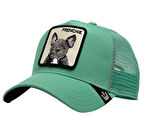 The French Bulld 101-1668