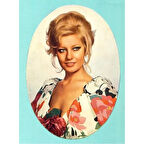 Emel Sayın Ahşap Retro Vintage Poster 