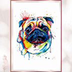 Renkli Pug Posteri - Sevimli Sulu Boya Köpek Tablosu
