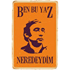 Şener Şen Ben Bu Yaz Neredeydim Ahşap Retro Vintage Poster
