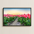 Pembe Lale Tarlası ve Gün Batımı Temalı Retro Poster Tablo