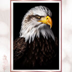 ACQUA Serisi Asil Kartal Portresi Duvar Dekoru