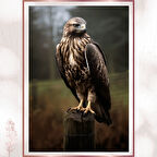 Kırsalın Sessiz Bekçisi Şahin Duvar DekoruKırsalın Sessiz Bekçisi Şahin Duvar Dekoru