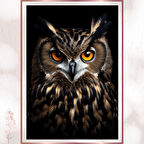 Kızıl Gözlü Baykuş - UV Baskılı Detaylı Hayvan Portresi