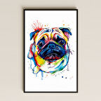 Renkli Pug Portresi Suluboya Stil Şeffaf Pleksi Tablo