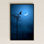 Gece Ay Işığında Anten Üzerinde Kedi Silueti Pleksi Tablo