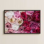 Pembe ve Kırmızı Gül Karışımı Çiçek Duvarı Pleksi Tablo