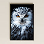 Beyaz Tüylü Baykuş Portresi Dijital Sanat Pleksi Tablo