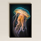 Denizanası Temalı Pleksi Tablo