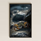 Kayalıkta Yürüyen Yengeç Temalı Realistik Pleksi Tablo