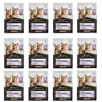 Pro Plan Pouch Kitten Hindili Yavru Kedi Maması 85 G - 12 Adet