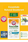 Hammer Essentials Juniper Berry(Ardıç)Deodorant Stick 71 gr(İthal)