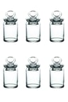 240 cc - Kitchen Spice Mini Baharatlık 6 Lı Set.