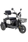 APM2 3 Tekerlekli Moped