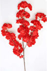 Rüzgar Çiçekcilik Kırmızı Bahardali 100 Cm