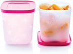 Tupperware Hediye Paketli Alaska Kap Yüksek Gövdeli 2'Li Set 1.1L