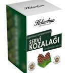 Servi ( Çam ) Kozalağı Macunu 240 gr