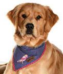 Köpek Bandana / Epix