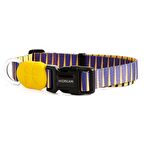 Köpek Boyun Tasması Hi Dream Pharaoh