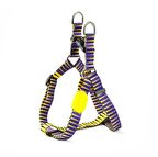 Köpek Göğüs Tasması Hi Dream Pharaoh