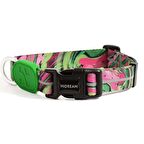 Köpek Boyun Tasması Hi Dream Aurora Series Neon