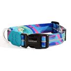 Köpek Boyun Tasması Hi Dream Aurora Series Starry Night