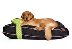 Petza Üstü Açık - Yastıklı Çift Taraflı - Fermuarlı Siyah - Yeşil Büyük - Orta Irk Köpek Yatağı