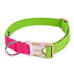 Köpek Boyun Tasması Cupid