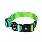 Köpek Boyun Tasması Inke