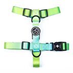 Köpek Göğüs Tasması Inke