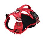 Köpek Göğüs Tasması Finwe Kırmızı