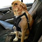 Köpek Araç Emniyet Kemeri ve Tasması Arnav Siyah