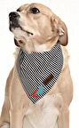 Köpek Bandana / Masi