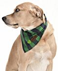 Köpek Bandana / Klim