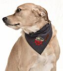 Köpek Bandana / Molle