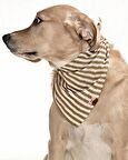 Köpek Bandana / Barbo