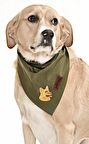 Köpek Bandana / Gurre